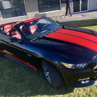 Vehicle Graphics